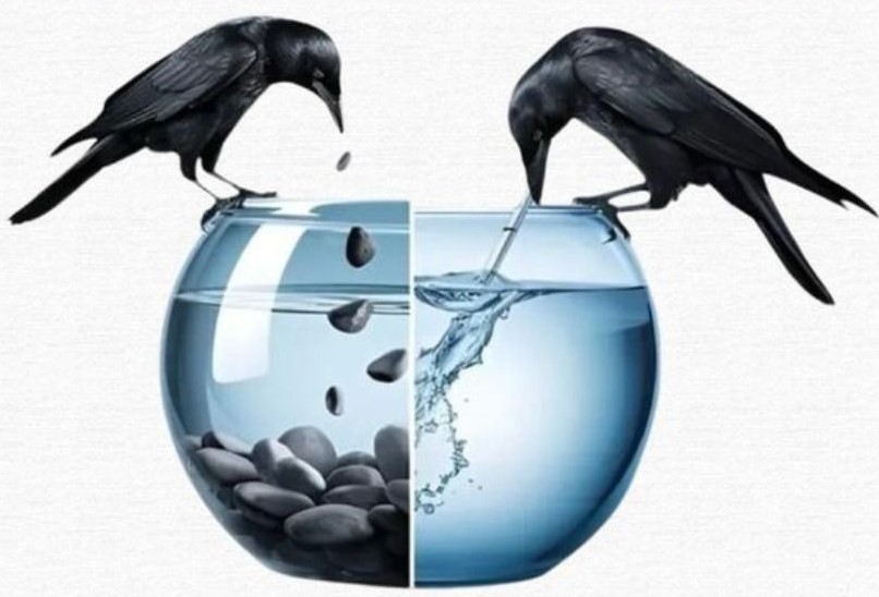 BLOG 1 freelance digital marketer in Kochi